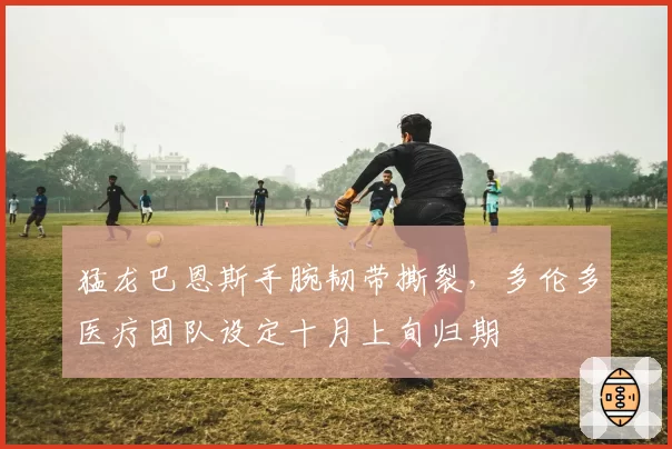 猛龙巴恩斯手腕韧带撕裂,多伦多医疗团队设定十月上旬归期
