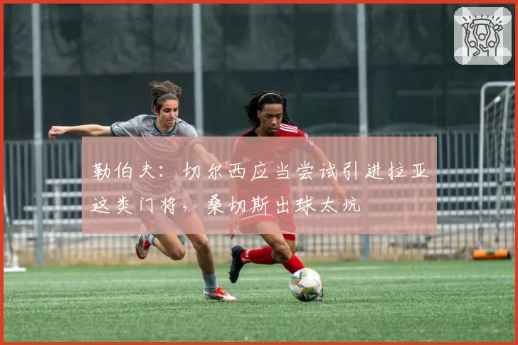 勒伯夫：切尔西应当尝试引进拉亚这类门将，桑切斯出球太坑