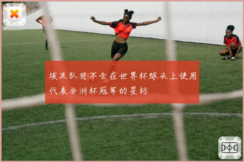 埃及队将不会在世界杯球衣上使用代表非洲杯冠军的星标