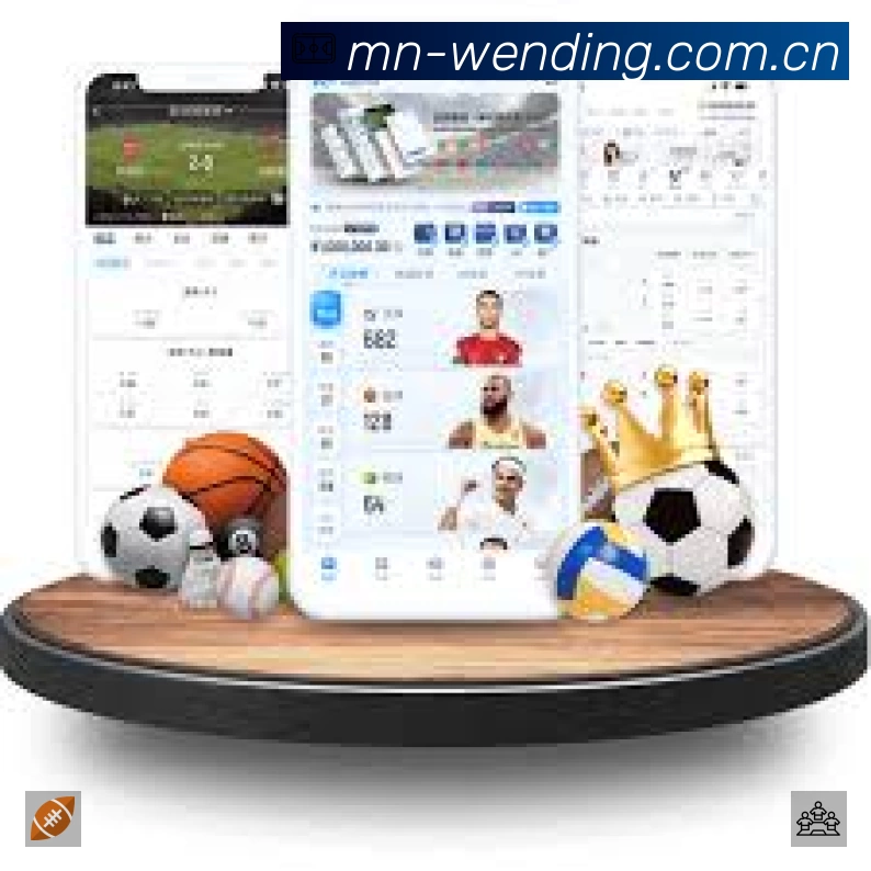 安全使用与支持流程